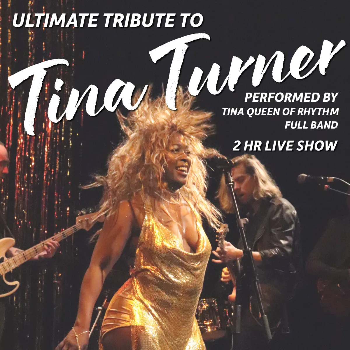 Ultimate Tribute to Tina Turner